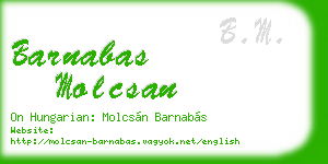 barnabas molcsan business card