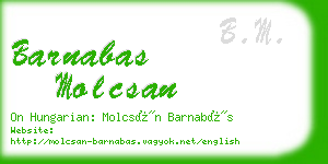 barnabas molcsan business card